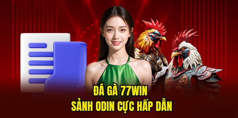 Sảnh cược đá gà ODIN siêu đẳng cấp tại nhà cái 77Win
