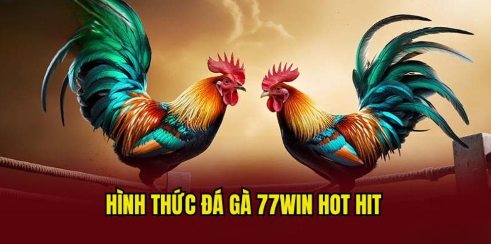 Tổng hợp các hình thức thi đấu đá gà 77Win hấp dẫn nhất
